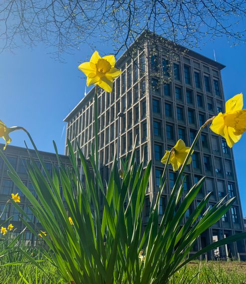 Niedersächsisches Ministerium für Wissenschaft und Kultur von außen
