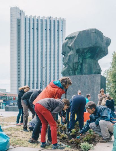 Personen beim Pflanzen